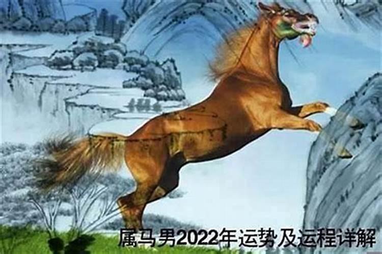 2002出生的属马人20232026年运势