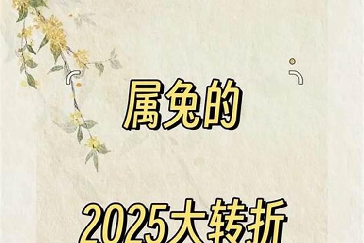 63年属兔2025年运势