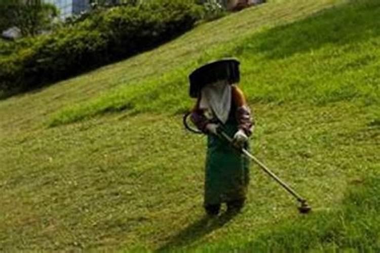 梦见陌生人向你告白的预兆