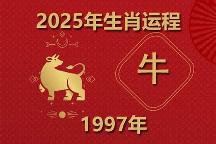 2025属牛人的全年运势如何样