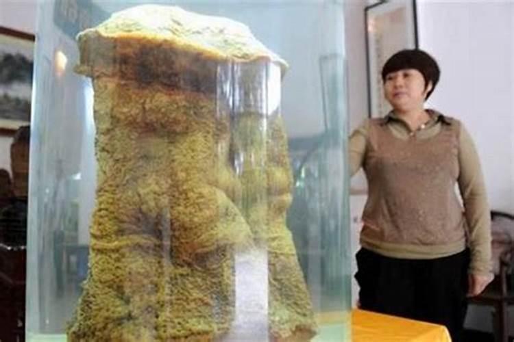太岁一般长在什么地方？