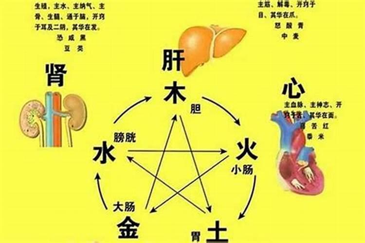 火命什么意思