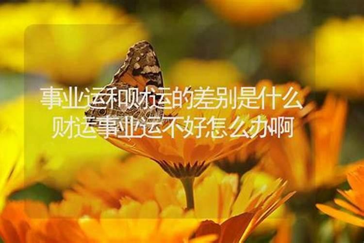 刑太岁破太岁怎么化解25年猴