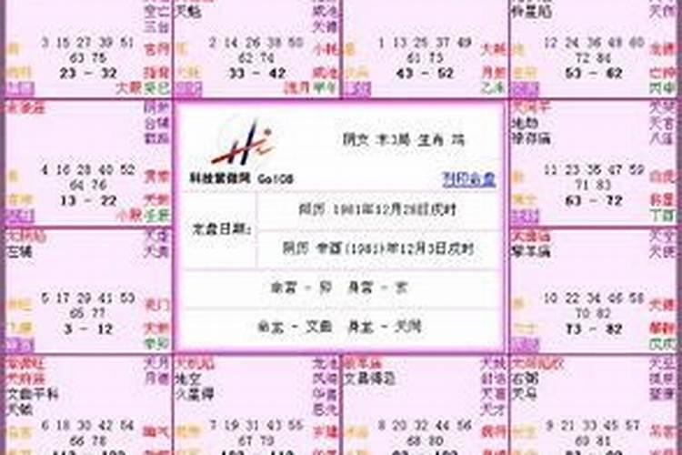 2025属狗犯太岁吗 属狗人2025年综合运势