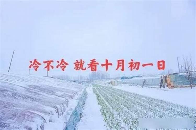 甘肃的传统节日和庆典有哪些？