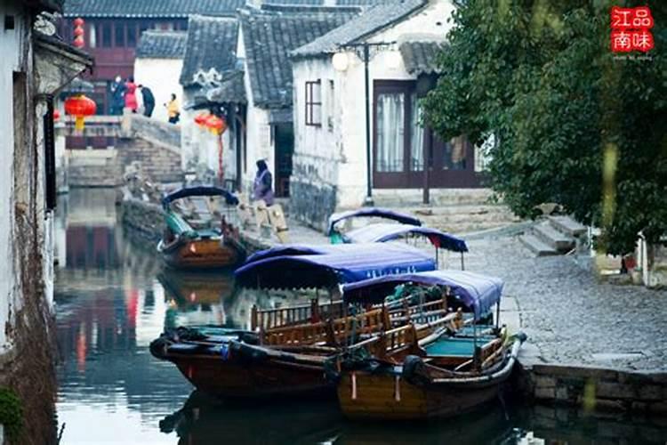 清明节上坟可以种树吗根据迷信,坟上面可以种树吗