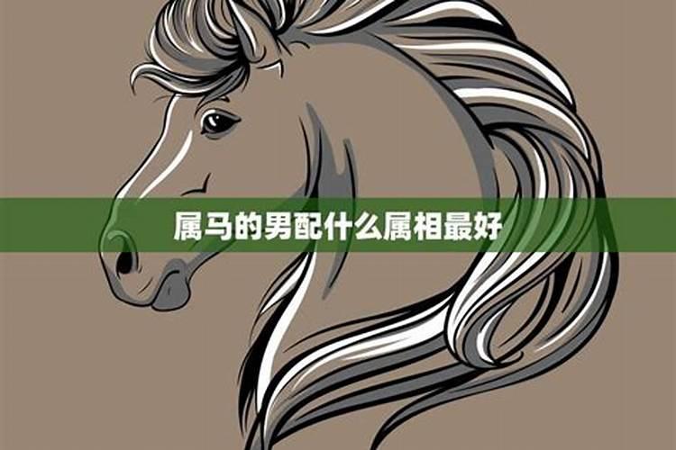 男属马配什么属相最好
