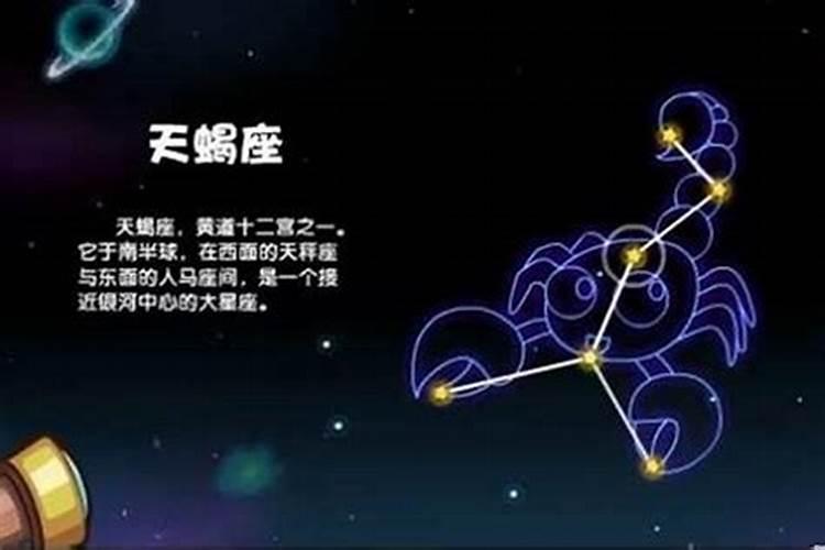 天蝎座男和什么星座最配