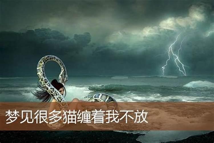 单身梦到前女友是什么意思,分手了梦到他代表什么