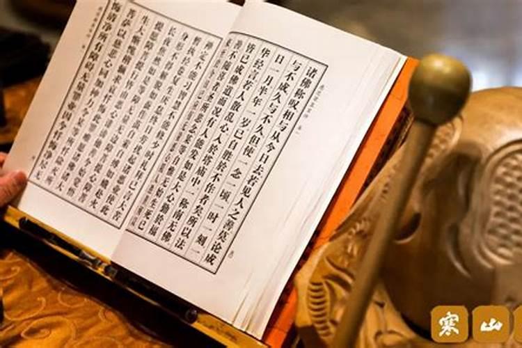 点主是什么意思