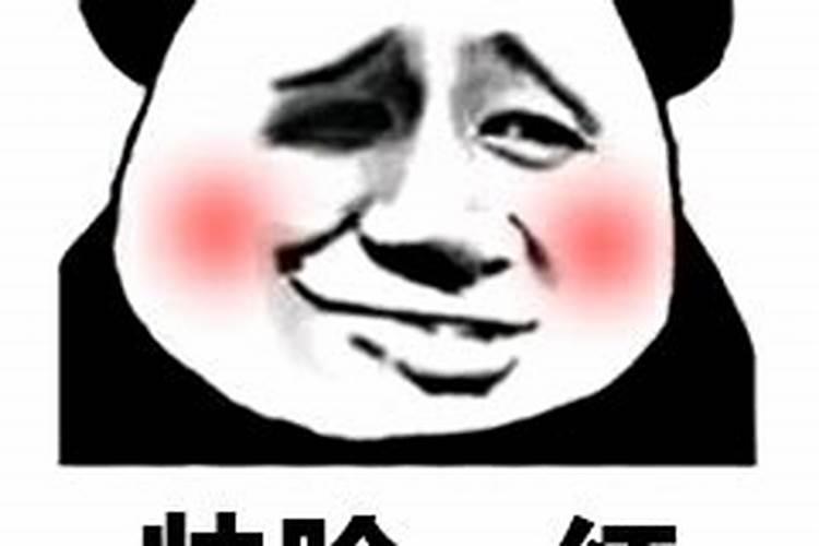 1983年猪2024年的全年运势及月运
