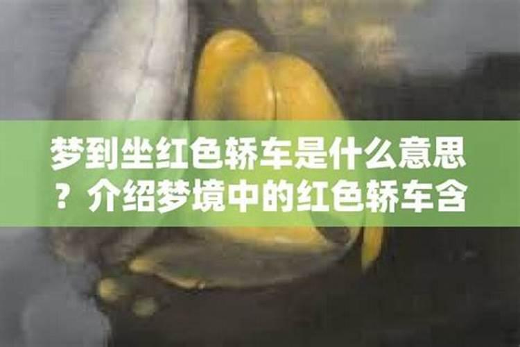 属兔人2025年综合运势