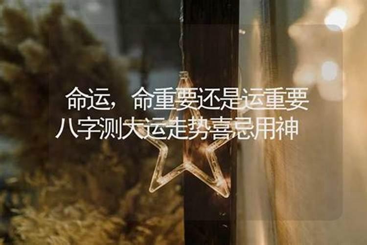 属羊女和什么属相最配对