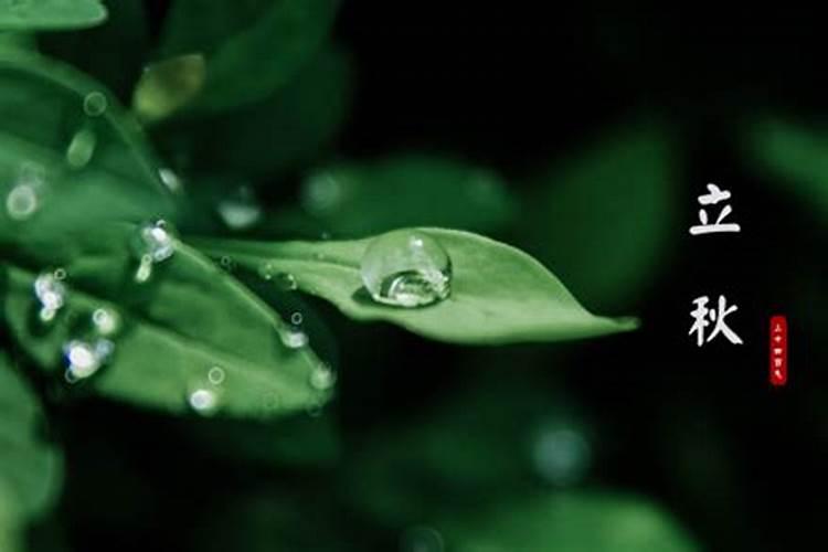 立秋泻虫药什么时候吃好