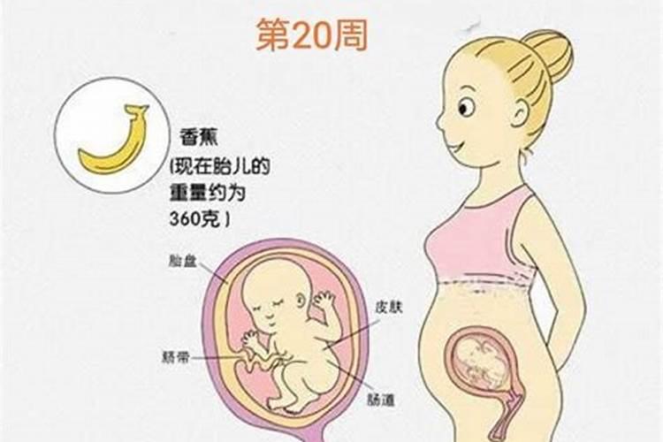 2025年犯太岁躲星时间表