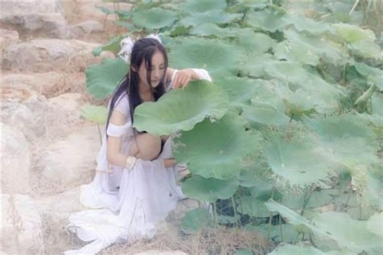 梦见女人长男人的东西怎样回事