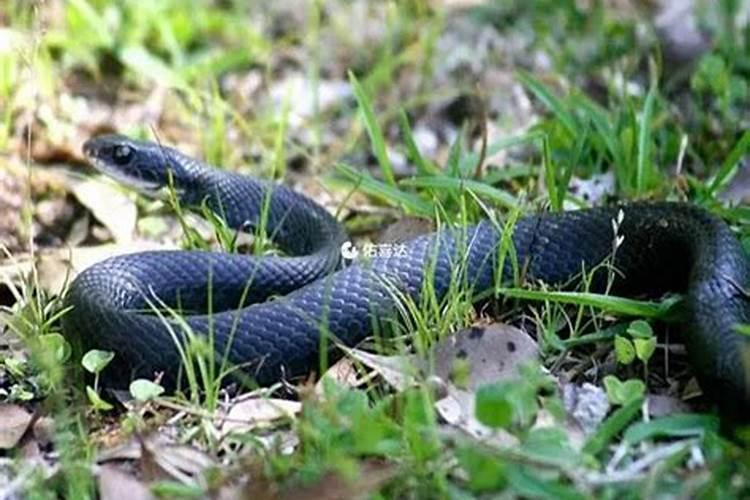 婚姻不好的女人面相注定婚姻不顺的女人面相