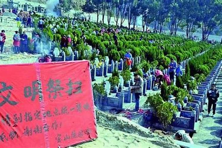 清明上坟哪天去最好
