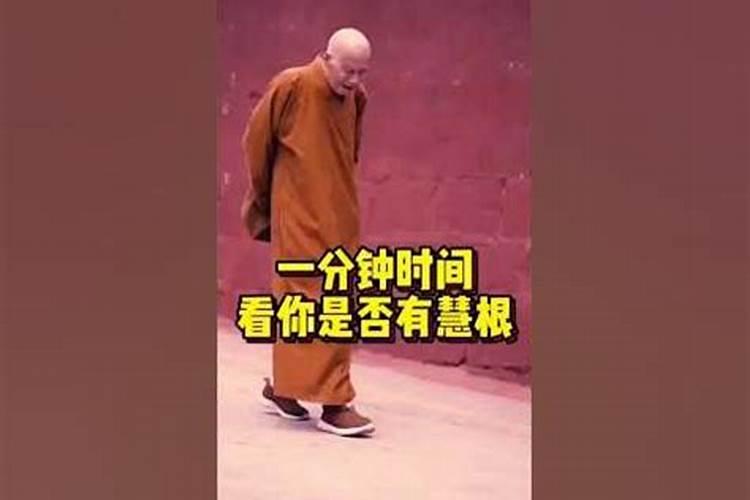 与道教有缘的人特征