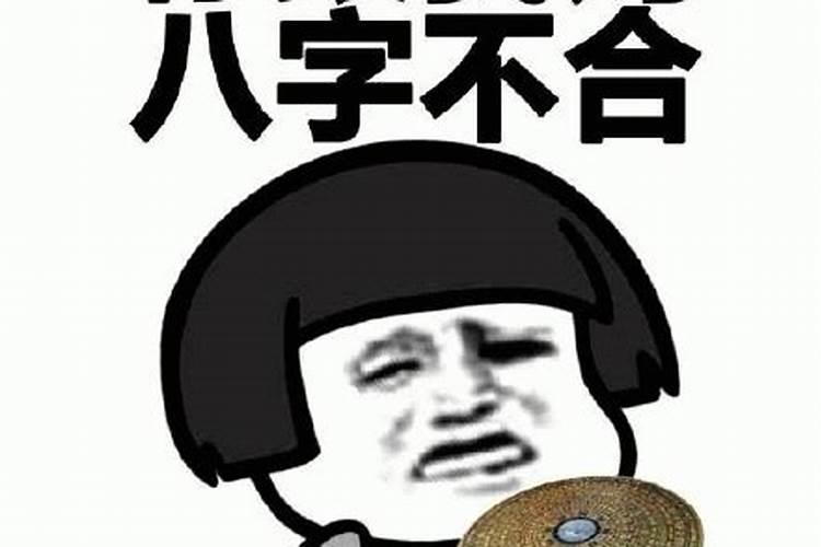 1995年属猪的2025年运势