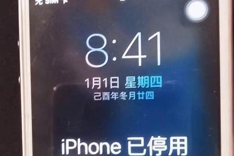 2025年的蛇五行属什么命