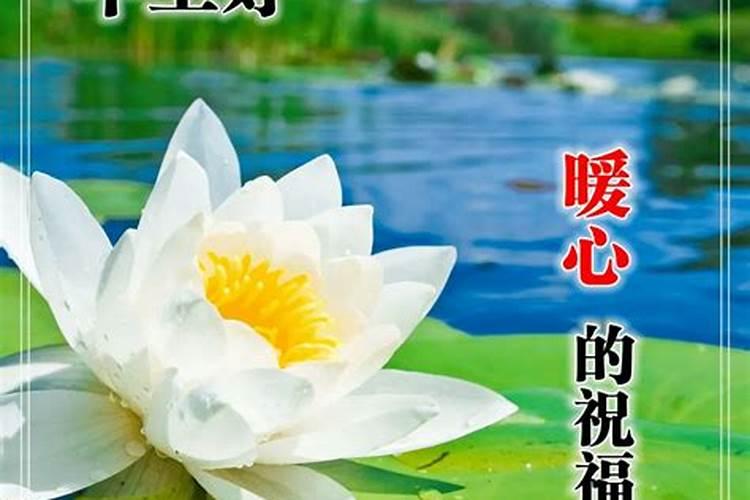 本命佛可以化太岁吗？本命佛能化太岁不？