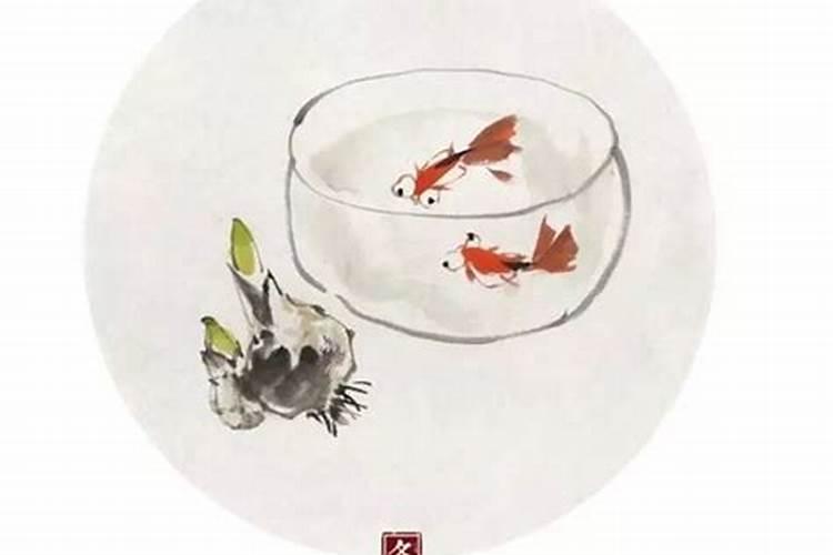 冲太岁是迷信还是科学
