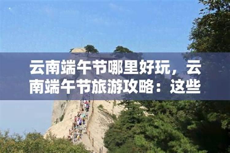 1975属兔女在2025年的每月运势