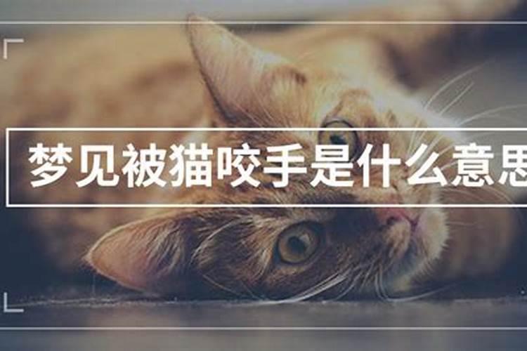 免费算命:什么样的八字事业蕞好