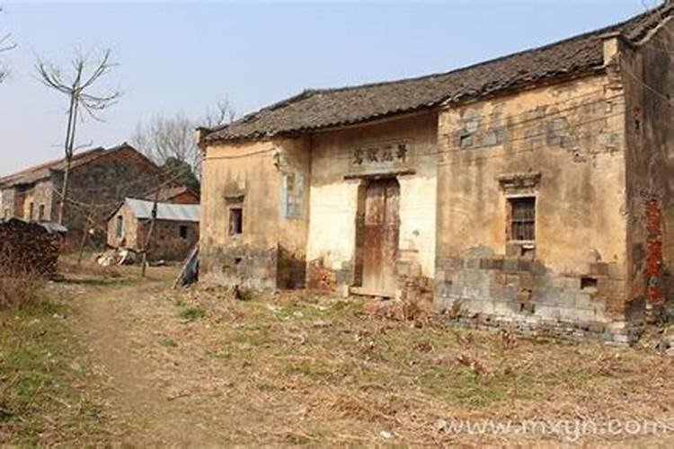 上海最大的牛羊肉批发市场在哪里、