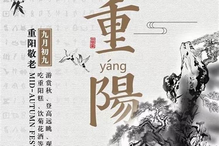 山东王丽芬算命先生是谁