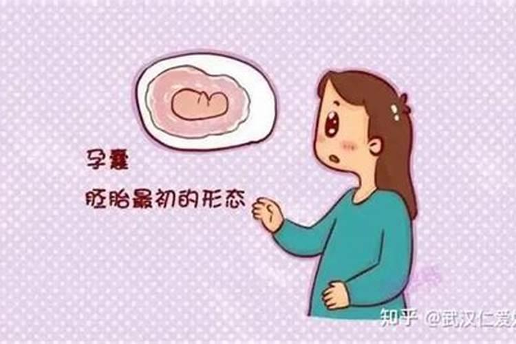 元宵节手抄报怎么画简单又漂亮