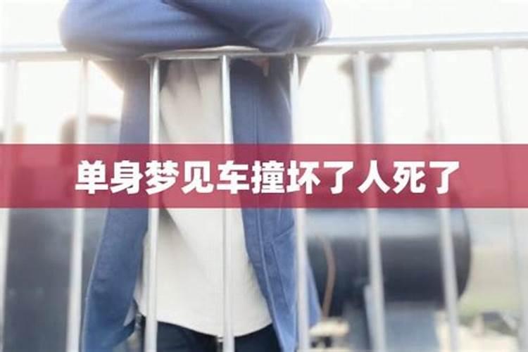 梦见蛇钻入身体是什么意思 梦见蛇钻入身体的相关解释