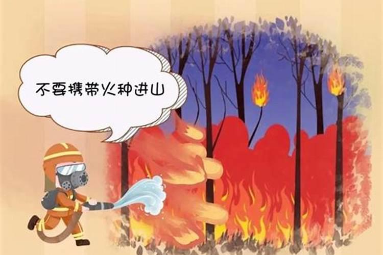 1979年农历腊月二十四晚上零点几分出生命运