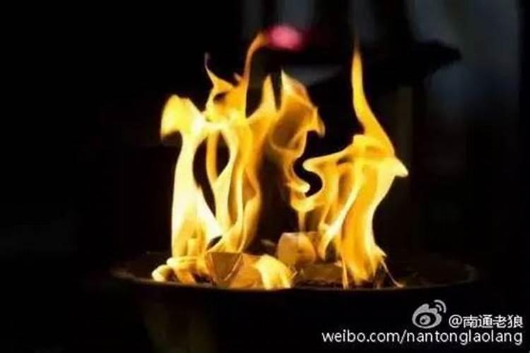 属猪和属猪的婚姻怎么样