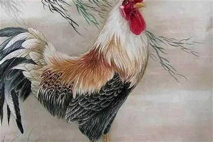 易经排盘怎么看,望大师解答
