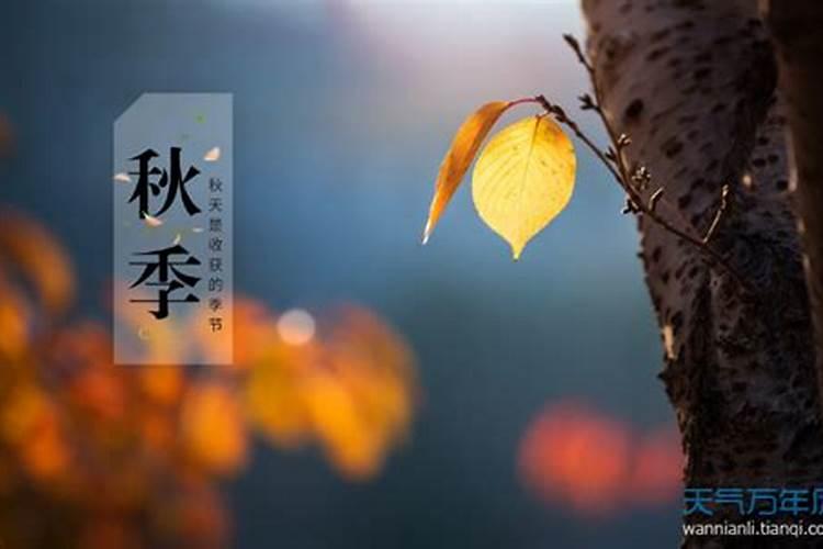 今年立秋是8月7号几点2024