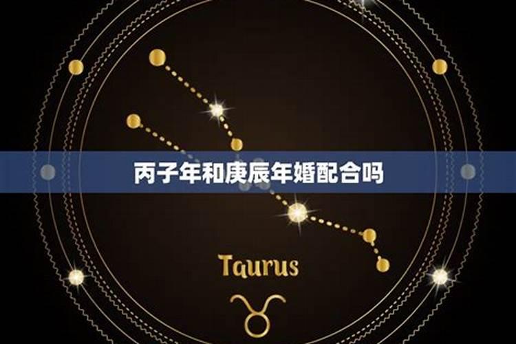 六丙日出生男女八字合婚表