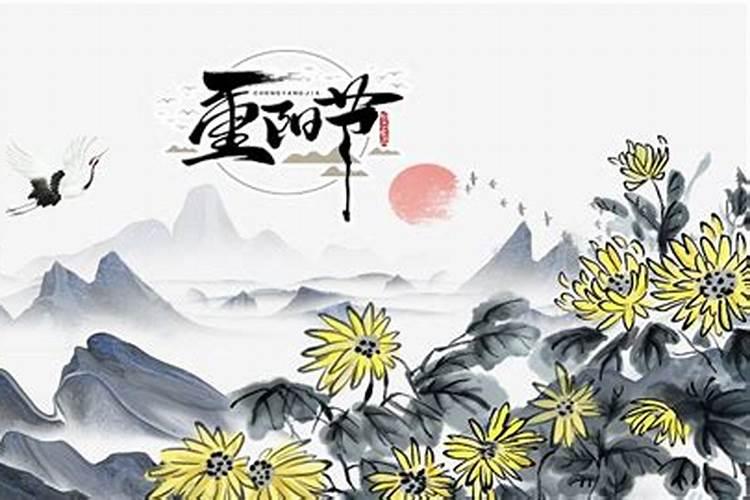 十二个月解析属马出生的命运如何
