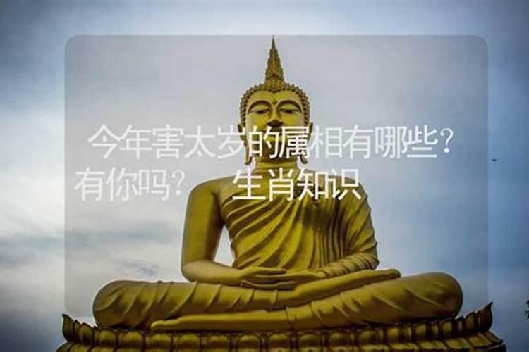 农历七月十五出生的人是不是鬼节出生的人运气很差