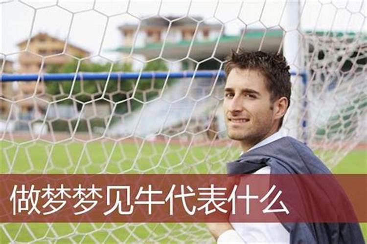 梦见和红牛打架的预兆
