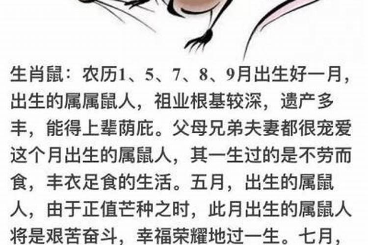 端午节可以做什么活动