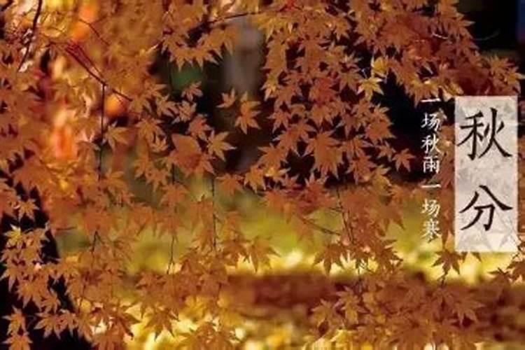 立秋、处署、白露、秋分、寒露、霜降的大概日期和习俗
