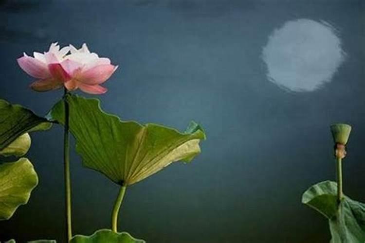 梦见上学迟到了是什么意思