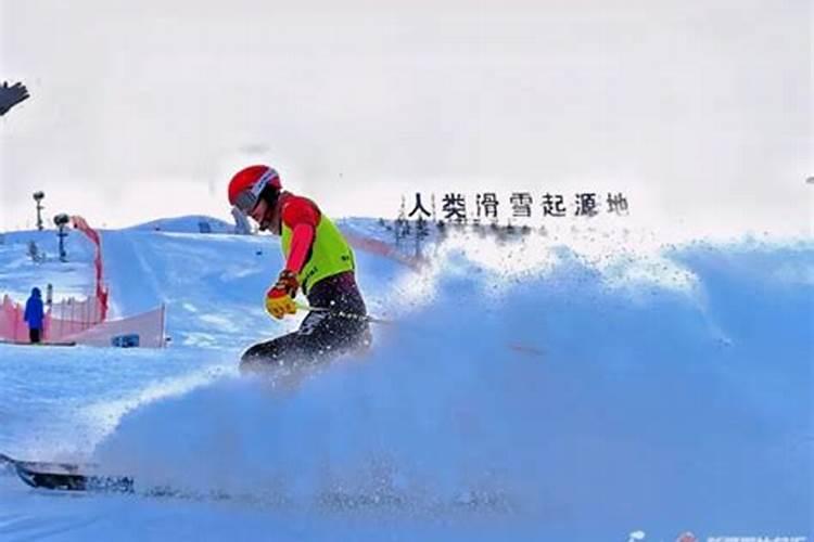 冬季运动会的项目是什么