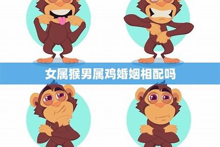合婚算命:属猴男与属鸡女的婚姻怎么样 两人相配吗