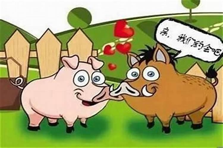 忌仇神的流动大运