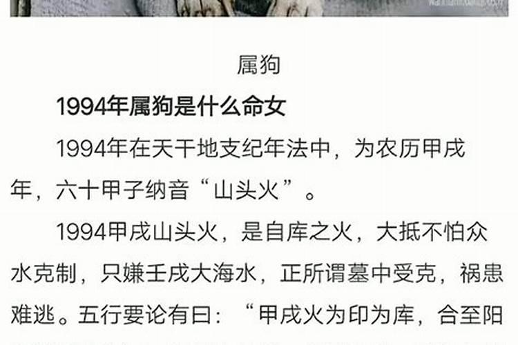 93年白露出生的人和94年冬至出生的人适合婚配吗
