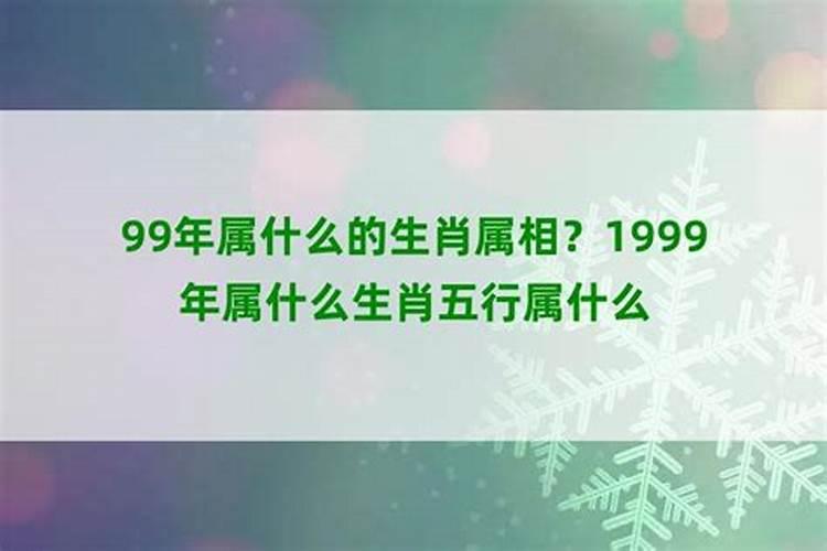 1999年属兔人一生命运