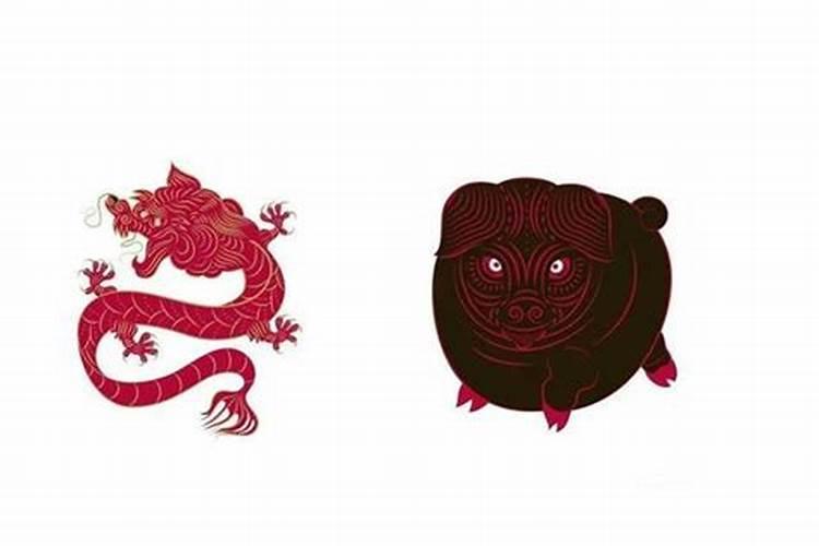 88年龙为什么不能配猪 猪为什么是龙的贵人